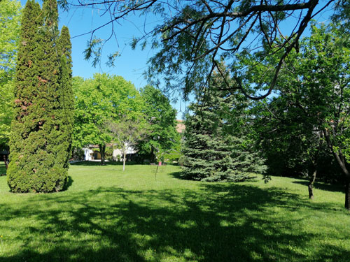 jardin